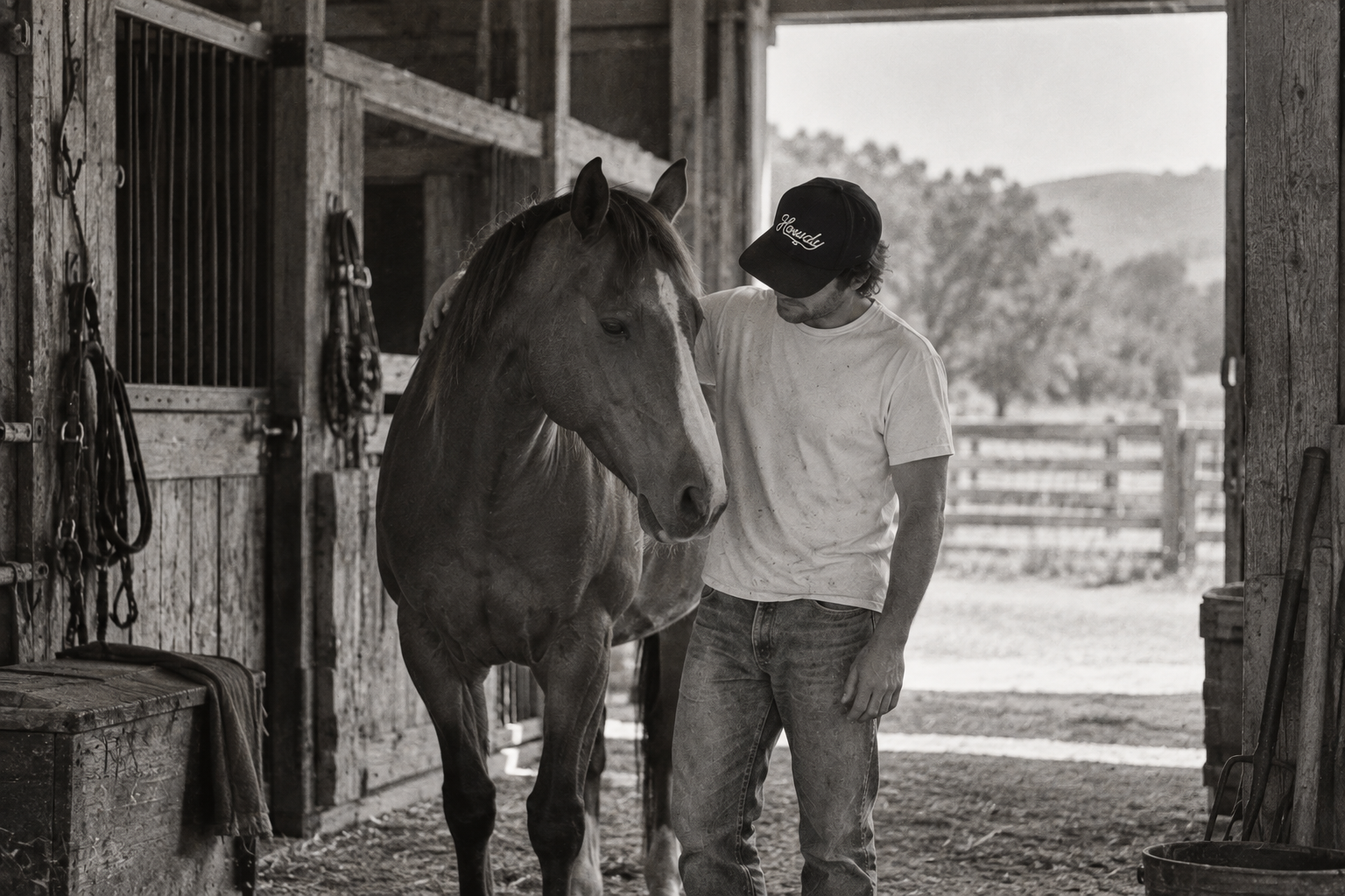 A quiet stable moment with a horse and a man wearing a black Howdy cap